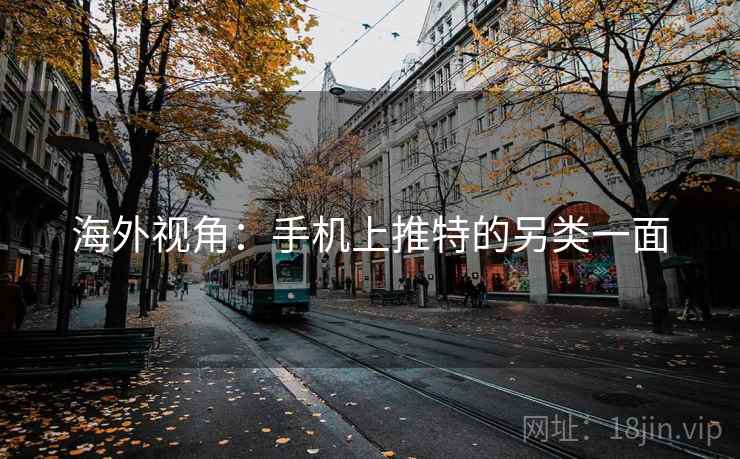 海外视角：手机上推特的另类一面