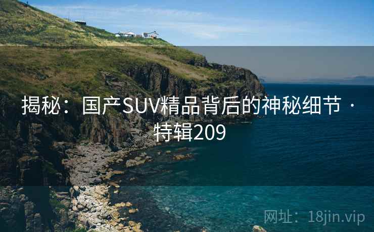 揭秘:国产SUV精品背后的神秘细节 · 特辑209